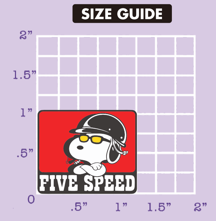 FIVE SPEED PIN